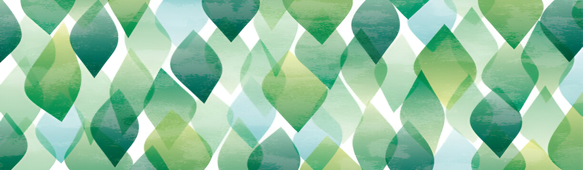 slideshow banner